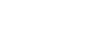 Ice_Transport-Poland-Logo-white